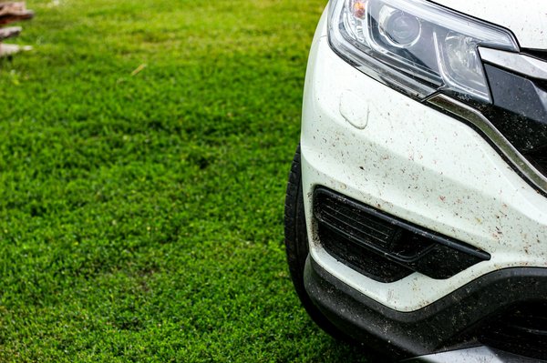 Guide complet pour choisir et remplacer votre pare-chocs occasion